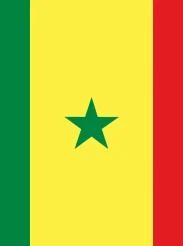 Flag-Senegal.jpg